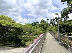 Blk 950 Jurong West Street 91 (Jurong West), HDB 4 Rooms #530749811
